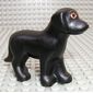 Animal, Dog, Standing with Eyes and White Nose Print