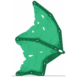 Wing, Large, Right with Dark Green print