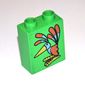 Duplo Brick 1 x 2 x 2 with Colorful Bird Print
