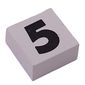 Modulex Tile 2 x 2 with Black '5' print, without Internal Supports