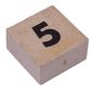 Modulex Tile 2 x 2 with Small Black '5' print, without Internal Supports