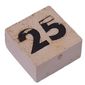 Modulex Tile 2 x 2 with Small Black '25' print, without Internal Supports
