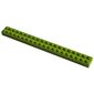 Modulex Brick 2 x 20 with M on Studs