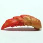 Large Figure Accessory, Rahkshi Kraata Stage 3 with Marbled Red Tail Pattern