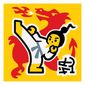 Tile 2 x 2 with Martial Arts print