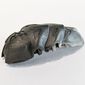 Large Figure Accessory, Rahkshi Kraata Stage 1 with Marbled Pearl Very Light Gray Tail Pattern