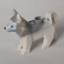 Animal, Dog, Husky with Blue Eyes, Black Nose Print and Marbled Light Bluish Gray Ears and Back Pattern