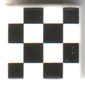 Tile 1 x 1 with Black /White Checkered print