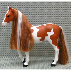 Scala, Animal, Horse Indie with Pinto Markings Print