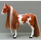 Scala, Animal, Horse Indie with Pinto Markings Print