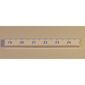 Tile 1 x 8 with Ruler CM 19 - 24 Pattern