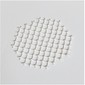 String Net 10 x 10 Octagon