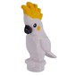 Animal, Bird, Cockatoo with Yellow Crest, Black Beak