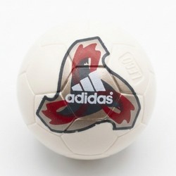 Sports Soccer / Basket Ball with Official World Cup Ball (Fevernova) Print