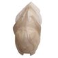 Large Figure Accessory, Rahkshi Kraata Stage 6 with Marbled White Tail Pattern