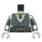 Torso, Robe, Dark Bluish Grey Scales, Gold Buckle, Symbol on Back print, Flat Silver Arms, Light Bluish Gray Hands