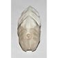 Large Figure Accessory, Rahkshi Kraata Stage 3 with Marbled White Tail Pattern