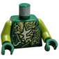 Torso Robe, Lightning, Asian Symbol print, Lime Arms, Green Hands