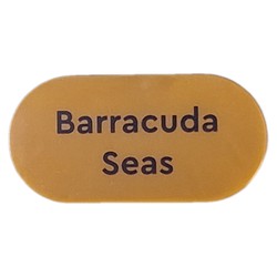 Tile Round 2 x 4 with 'Barracuda Seas' print