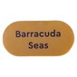 Tile Round 2 x 4 with 'Barracuda Seas' print