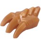 Dragon Claw