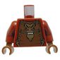 Torso Armor, Reddish Brown with Gold Lion Emblem Print, Dark Red Arms, Reddish Brown Hands