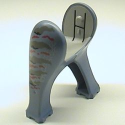Animal Body Part, Dinosaur, Legs Long, Dark Gray and Red Print