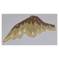 Wing, Left, Dragon, Reddish Brown, Dark Tan, and Tan Scales Print