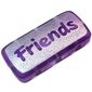 Clikits Icon, Rectangle 3L with Hole, Silver 'Friends' Print