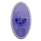 Shield Ovoid with Grip and Silver Border, Orion Constellation print