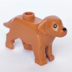 Animal, Dog, with 1 Eye and Nose Print
