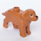 Animal, Dog, with 1 Eye and Nose Print