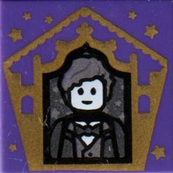 LEGO PART 3068bpr9752 Tile 2 x 2 with Wizard Card Newt Scamander print ...