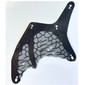 Black Wing, Dragon with Dark Bluish Grey Webbing