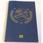 Passport Picture Book