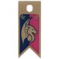Flag with Dragon Head Print, Dual Sided