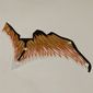 Wing, Right, Dragon, Yellow and Orange Scales, Black Edges Print