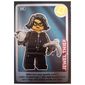 Trading Card, Create The World - Jewel Thief
