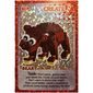 Trading Card, Create The World - Bear (foil)