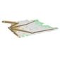 Wing, Left, Dragon, Dark Tan Bones, Gold and Green Diamonds Print