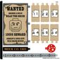 Sticker Sheet for Set 910016-1