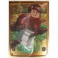 Trading Card, Harry Potter, Gold Card - Oliver Wood