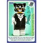 Trading Card, Create the World Incredible Inventions - Cat Costume Girl