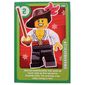 Trading Card, Create the World Living Amazingly - Swashbuckler