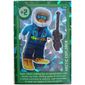 Trading Card, Create the World Living Amazingly - Arctic Explorer (Foil)