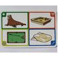 Game Card, Creationary, 110 Walrus