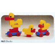 Ducks
