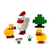 Chicken & Chicks