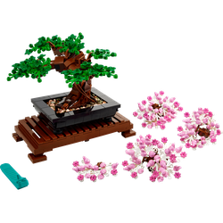 Drzewko bonsai