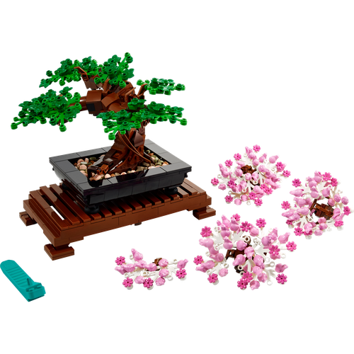 Bonsai Tree